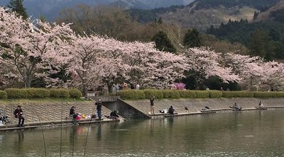 🎣 히가시야마 호수 낚시터(히가시야마코 피싱구 에리아) 이미지 2